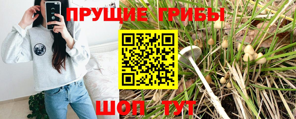 Псилоцибиновые грибы GOLDEN TEACHER Десногорск